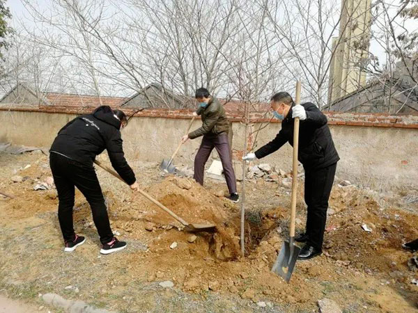 山东milan米兰电子(中国)官方网站