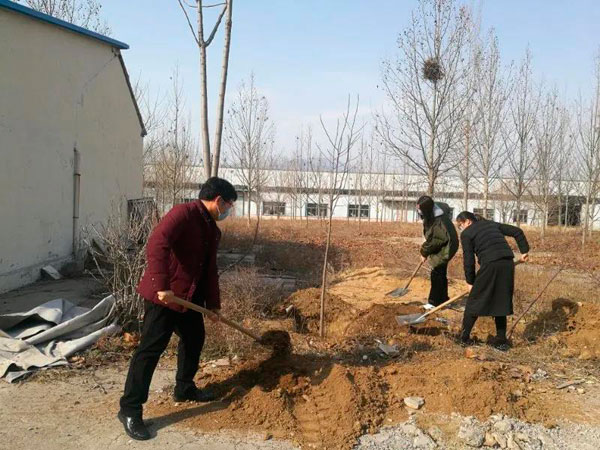 山东milan米兰电子(中国)官方网站