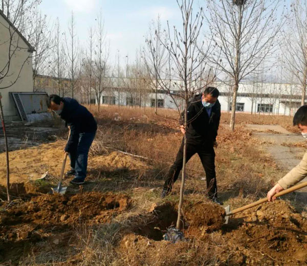 山东milan米兰电子(中国)官方网站