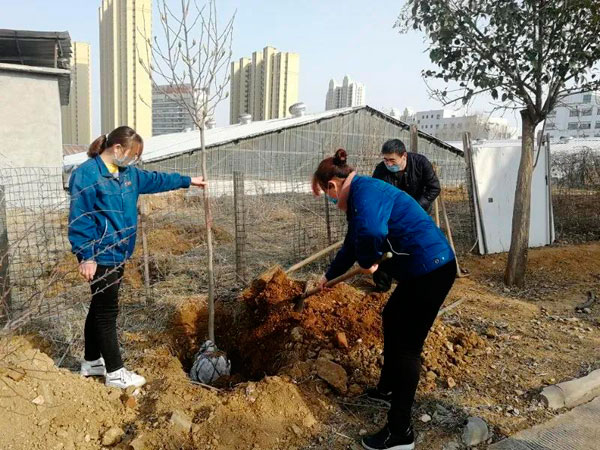 山东milan米兰电子(中国)官方网站