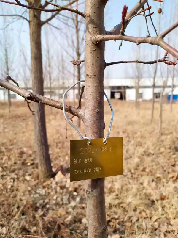 山东milan米兰电子(中国)官方网站