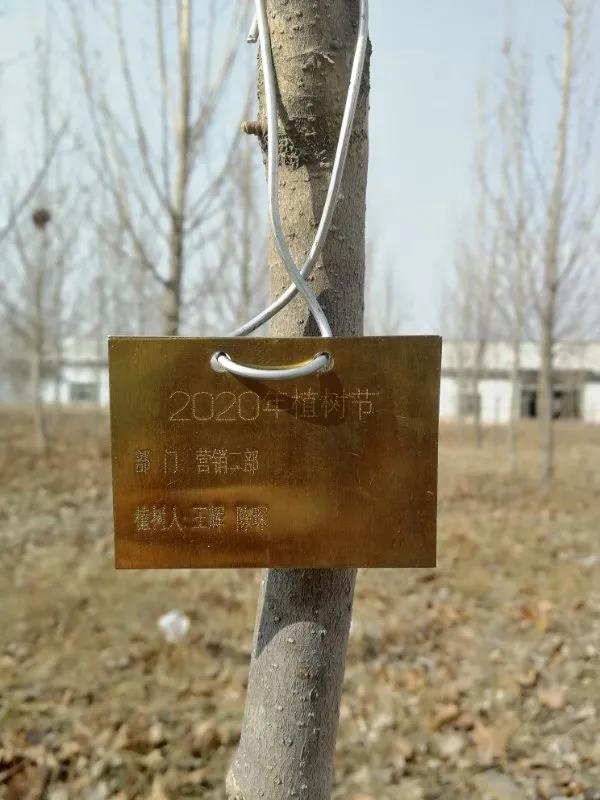 山东milan米兰电子(中国)官方网站